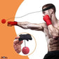 Boxing Reflex Ball